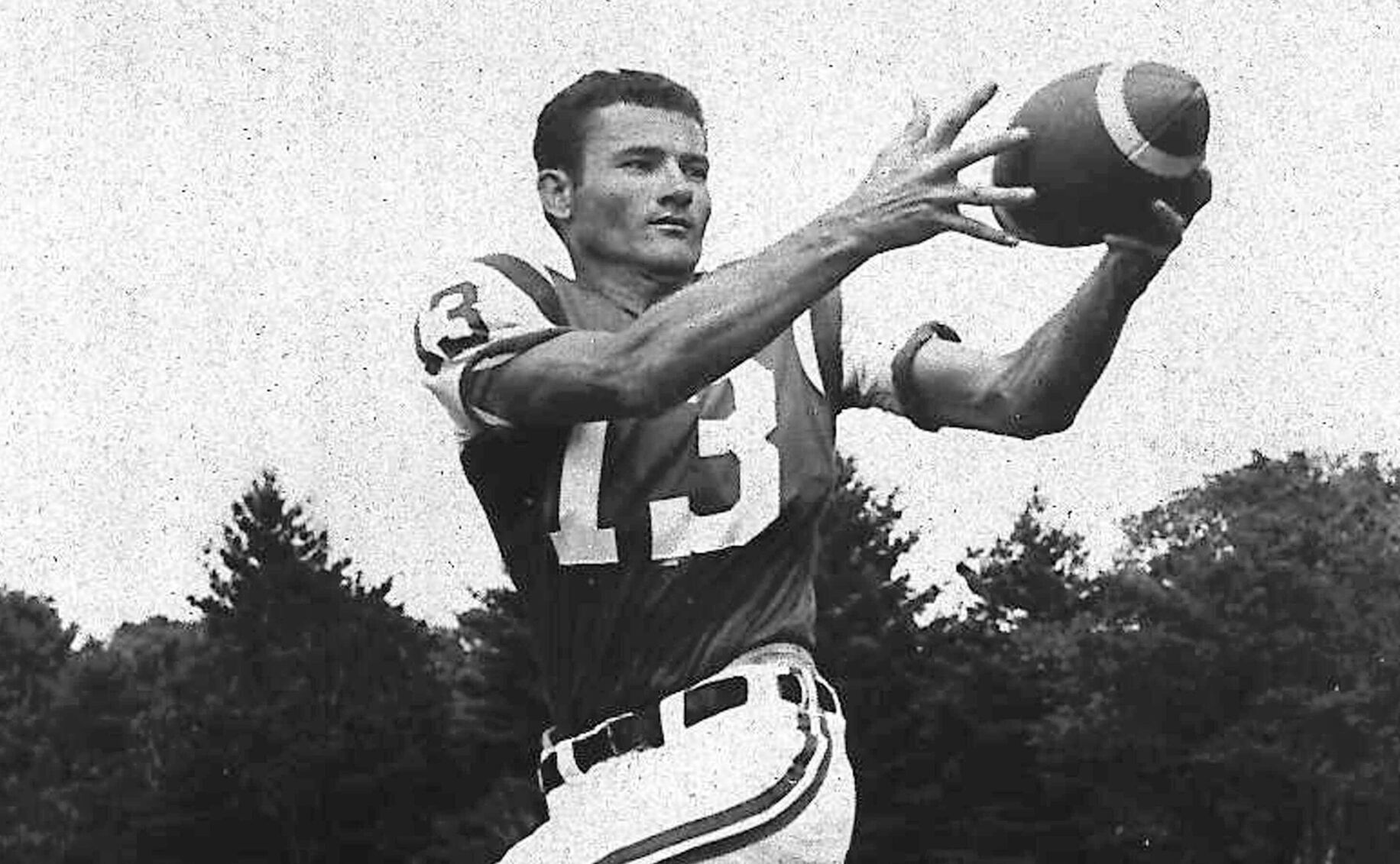 Don Maynard